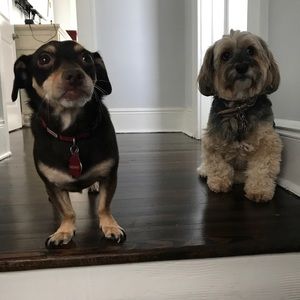 Meet your Posher, Manuel